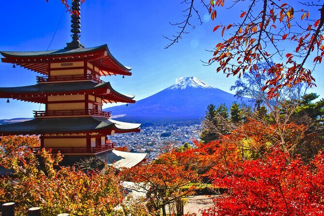 Mt. Fuji and Lake Kawaguchiko Private Full Day Tour - What the Tour Means for You