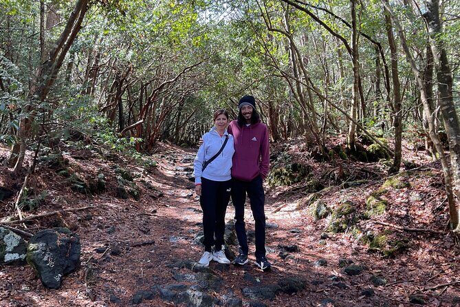 Mt. Fuji Aokigahara Forest Tour with Licensed Guide and Vehicle - Why Choose This Tour? The Details that Matter