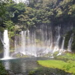 Mt. Fuji area Tour from Shimizu Port / Medium Bus - The Travel Experience and Value