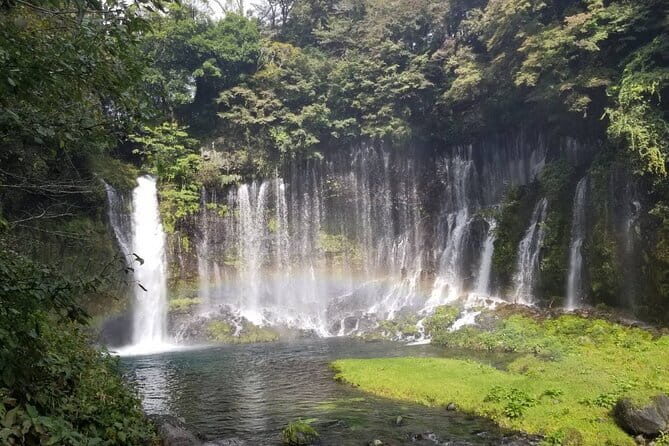 Mt. Fuji area Tour from Shimizu Port / Medium Bus - The Travel Experience and Value