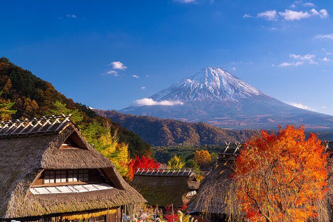 Mt. Fuji Autumn leaves And Heritage Village Trip Tokyo - A Closer Look at the Itinerary