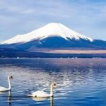 Mt Fuji Carpool Day Tour for 5 to 9 Tourists - Exploring Mount Fuji: A Deep Dive