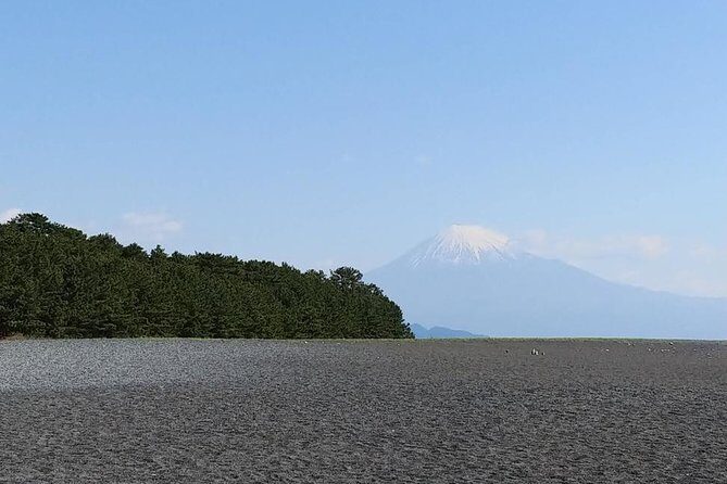 Mt.Fuji Chartered Taxi Tour - Who Will Love This Tour?