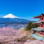 Mt. Fuji Cherry Blossom One Day Tour From Tokyo - Exploring the Details of the Mt. Fuji Cherry Blossom Tour