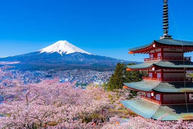 Mt. Fuji Cherry Blossom One Day Tour From Tokyo - Exploring the Details of the Mt. Fuji Cherry Blossom Tour