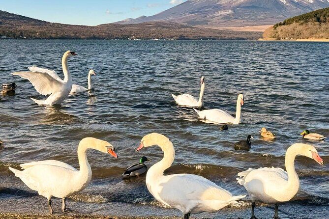 Mt. Fuji Classic One Day Tour from Tokyo - Exploring the Itinerary in Detail