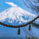 Mt Fuji Day Tour: Chureito Pagoda, Lake Kawaguchi & Oshino Hakkai - What the Reviews Tell Us