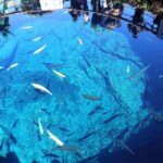 Mt. Fuji Day Trip: Oshino Hakkai, Lake Kawaguchi & Ladder Town - Final Thoughts