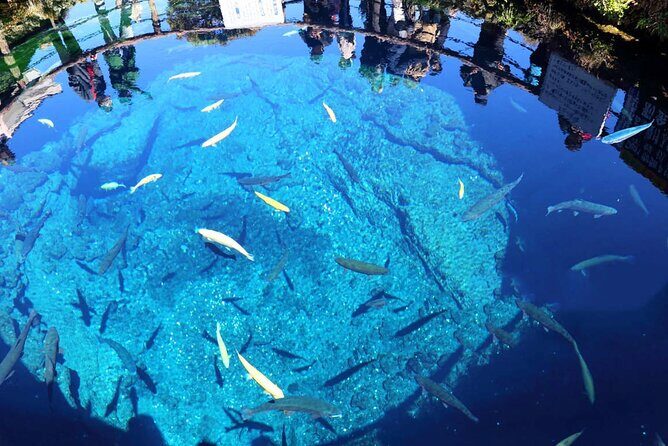 Mt. Fuji Day Trip: Oshino Hakkai, Lake Kawaguchi & Ladder Town - Final Thoughts