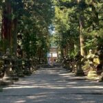 Mt. Fuji Early Morning E-Bike Tour - A Closer Look at the Mt. Fuji Early Morning E-Bike Tour