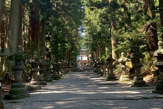 Mt. Fuji Early Morning E-Bike Tour - A Closer Look at the Mt. Fuji Early Morning E-Bike Tour
