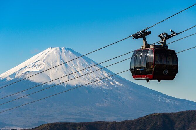 Mt. Fuji & Hakone Area Highlight Spots Car pooling Tour - An In-Depth Look at the Tour Experience