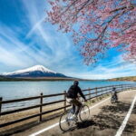 Mt fuji & Hakone customizable day tour w/ English speaking guide - Why This Tour Works for You