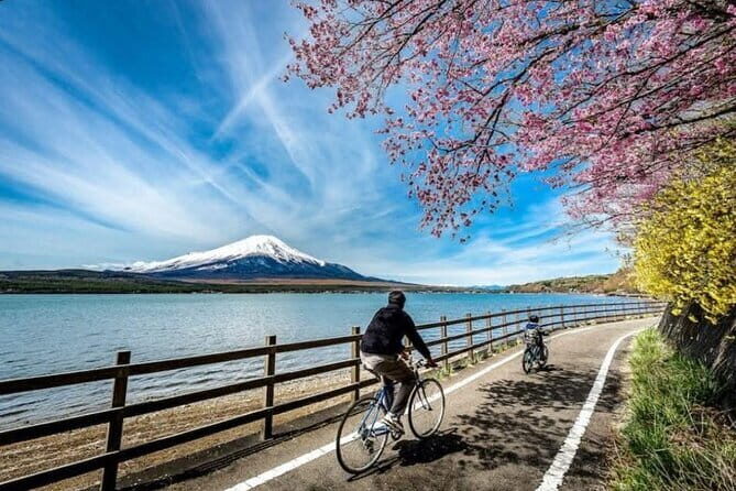 Mt fuji & Hakone customizable day tour w/ English speaking guide - Why This Tour Works for You