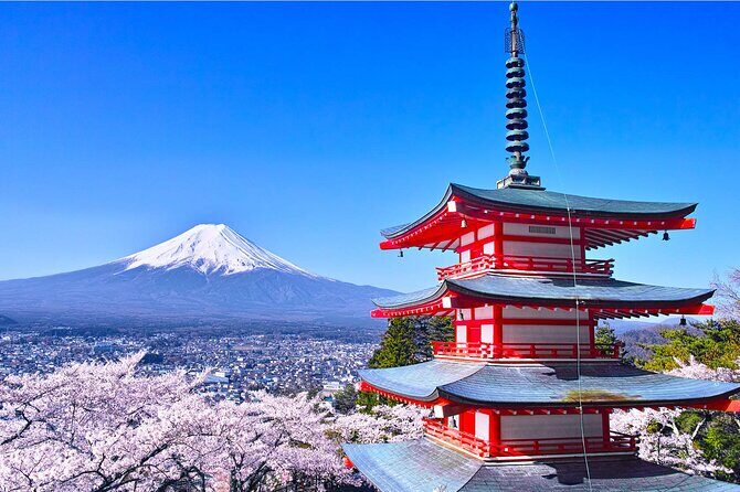 Mt. Fuji Hikawa Clock Shop Oshino Hakkai and Oishi Park Day Trip - Authentic Experiences and Authentic Photos