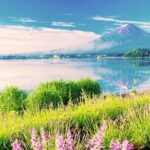 Mt. Fuji in Comfort: Private Ride Premium Service - Who Should Consider This Tour?