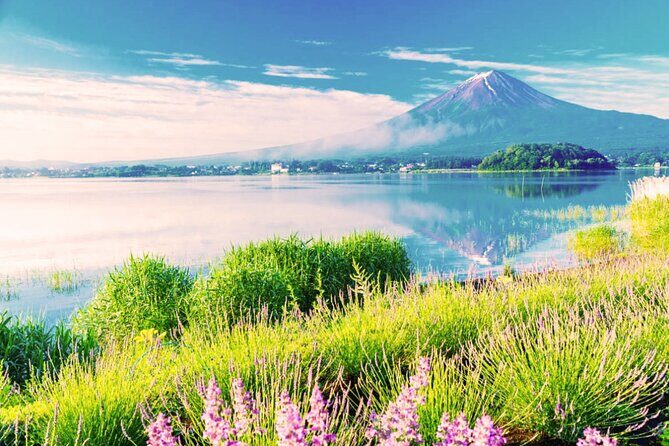 Mt. Fuji in Comfort: Private Ride Premium Service - Who Should Consider This Tour?