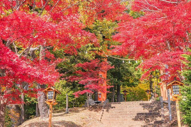 Mt. Fuji Instagram Spots Day Trip Oshino Hakkai Oishi Park & More - Who Should Consider This Tour?