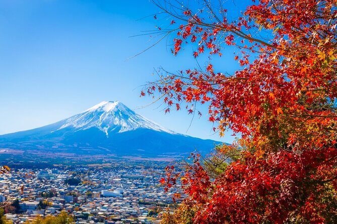 Mt Fuji Kawaguchi/Hakone/Yokohama Tokyo customize private car - Why Choose This Tour?