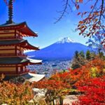Mt.Fuji, Lake Kawaguchiko, Oishi Park & Saiko Village Tour - A Practical Guide to the Mt. Fuji, Lake Kawaguchiko, Oishi Park & Saiko Village Tour