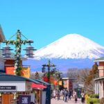 Mt. Fuji Luxury Getaway and Hakone Adventure by Private Car - Why this tour stands out