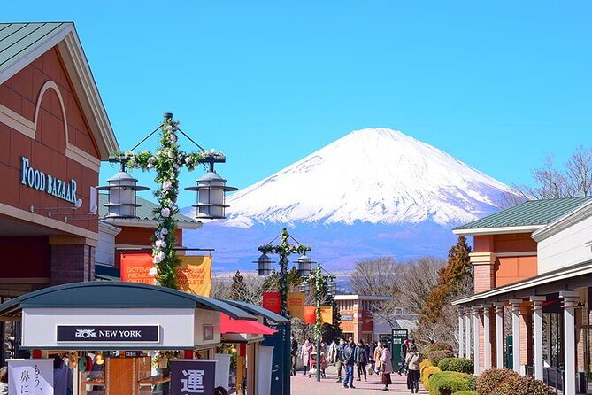 Mt. Fuji Luxury Getaway and Hakone Adventure by Private Car - Why this tour stands out