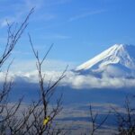 Mt. Fuji Private Customized Day Tour - Who Should Consider This Tour?