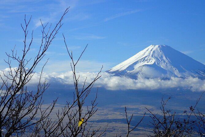 Mt. Fuji Private Customized Day Tour - Who Should Consider This Tour?