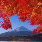 Mt Fuji Private Day Trip from Tokyo with English Speaking Driver - Frequently Asked Questions