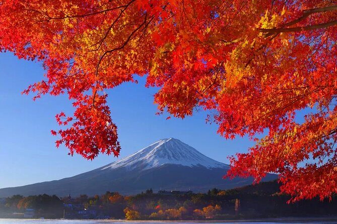 Mt Fuji Private Day Trip from Tokyo with English Speaking Driver - Frequently Asked Questions