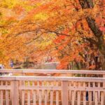 Mt. Fuji Scenic Day Tour Arakurayama Tendi Oshino and Kawaguchiko - What We Think About the Experience