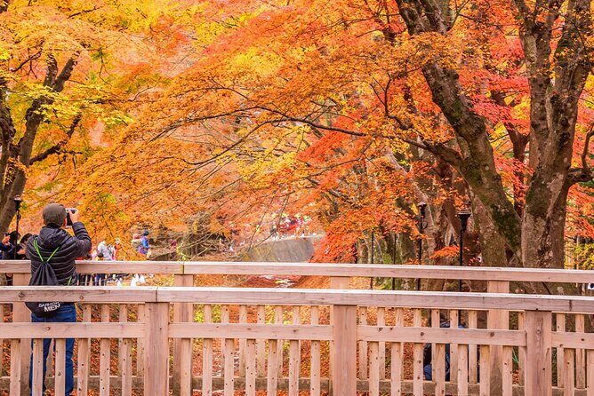 Mt. Fuji Scenic Day Tour Arakurayama Tendi Oshino and Kawaguchiko - What We Think About the Experience