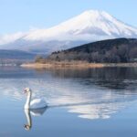 Mt. Fuji Signature 6 Scenic Spots One Day Tour from Tokyo - Key Points
