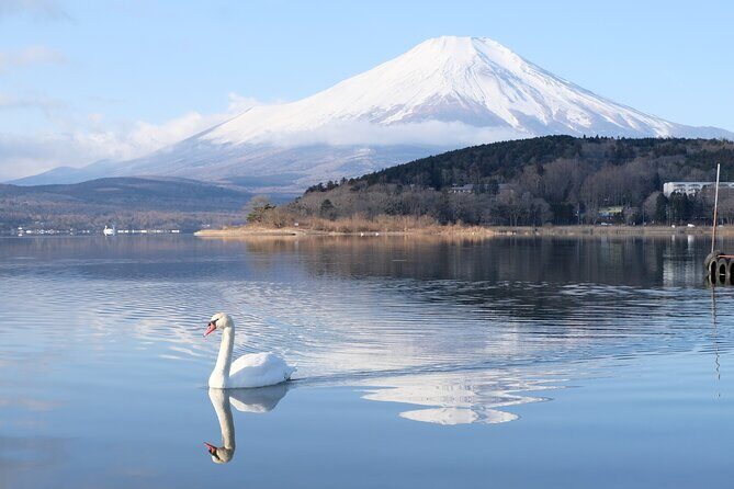 Mt. Fuji Signature 6 Scenic Spots One Day Tour from Tokyo - Key Points