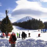 Mt. Fuji Skiing Experience- YETI Ski Resort & Onsen Day Trip - Who Will Love This Tour?