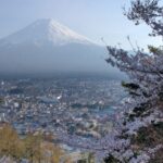 Mt. Fuji Spanish & English tour - Dive into the Details of the Mount Fuji Spanish & English Tour