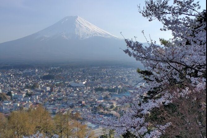 Mt. Fuji Spanish & English tour - Dive into the Details of the Mount Fuji Spanish & English Tour
