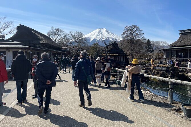 Mt Fuji Tour from Shimizu Port by Private Car - Exploring the Mt. Fuji from Shimizu Port: What You Can Expect