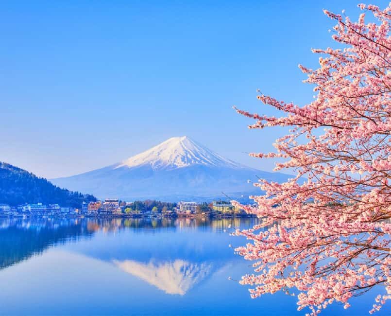 Mt. Fuji Tour: Lake Kawaguchiko Ropeway,Matcha,Oshino Hakkai - Authentic Insights from Reviews