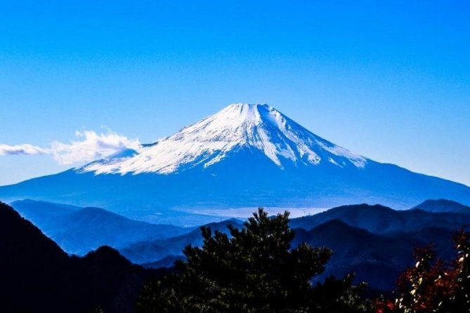 Mt. Fuji View and 2hours+ free time at Gotemba Premium Outlets - What the Reviews Say