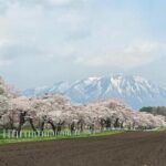 Mt. Iwate Panorama Cycling Tour: Culture and Scenic Views - The Complete Experience: What to Expect from the Mt. Iwate Panorama Cycling Tour