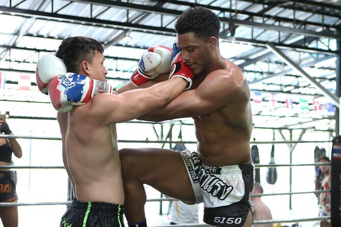 Muay Thai Experience - 1/2 Day - Who Should Consider This Tour?