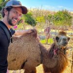 Mui Ne Highlights: Fishing Village, Sand Dunes & Stunning Sunset - Final Thoughts