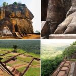 Multi Day Tour Tropical Sri Lanka A Week in Paradise - A Deep Dive into the Sri Lanka Experience