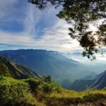 Munnar Private Day Trip - In-Depth Look at the Tour Components