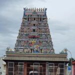 Mylapore Munchies: A Delectable Chennai Food Expedition - What Makes This Tour Stand Out