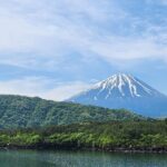 Mystical Fuji Forest Guide Running Trip (Shoe Rental Included) - Authentic Experiences and Real Traveler Insights