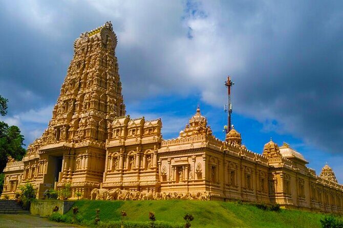 Mystical Nights: Fireflies & Blue Tears Adventure - FAQs