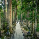 Nachi Waterfall, Mount Koya & Wakayama Tour with Two Options - How the Tour Works in Practice