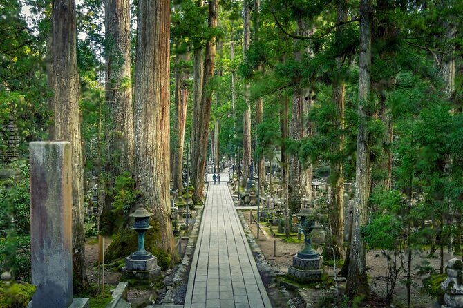 Nachi Waterfall, Mount Koya & Wakayama Tour with Two Options - How the Tour Works in Practice